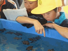 小沢小学校