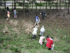 多米小学校
