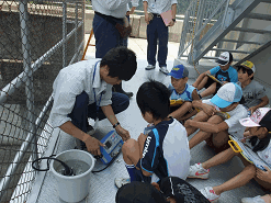 新川小学校