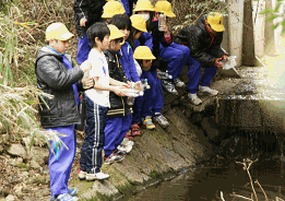 天白小学校
